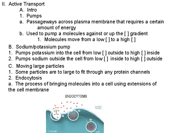 II. Active Transport A. Intro 1. Pumps a. Passageways across plasma membrane that requires