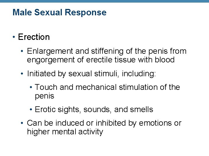 Male Sexual Response • Erection • Enlargement and stiffening of the penis from engorgement