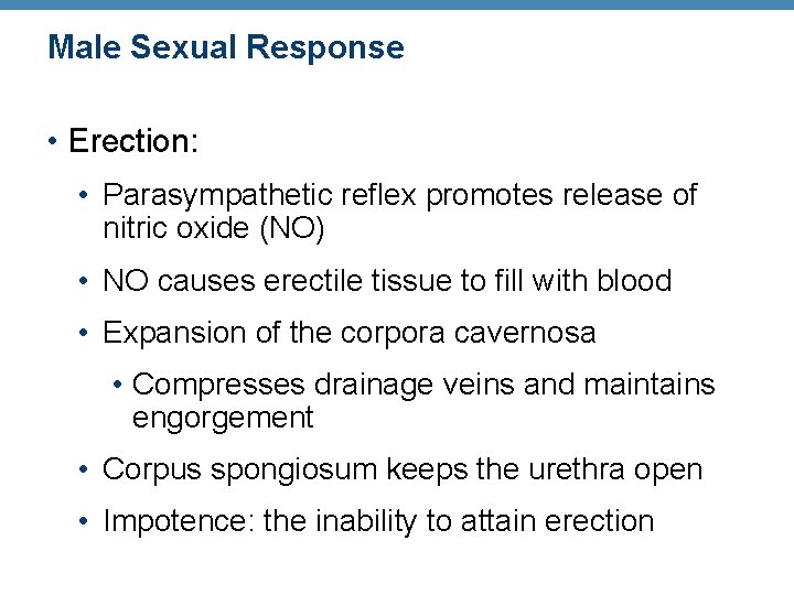 Male Sexual Response • Erection: • Parasympathetic reflex promotes release of nitric oxide (NO)