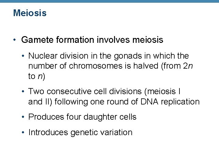 Meiosis • Gamete formation involves meiosis • Nuclear division in the gonads in which