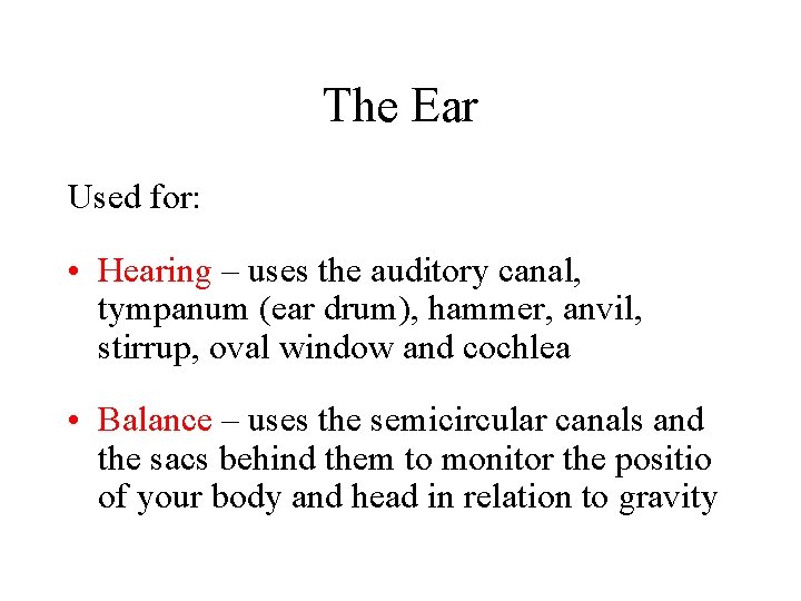 The Ear Used for: • Hearing – uses the auditory canal, tympanum (ear drum), The Ear Used for: • Hearing – uses the auditory canal, tympanum (ear drum),