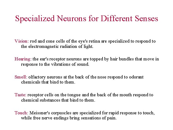 Specialized Neurons for Different Senses Vision: rod and cone cells of the eye's retina Specialized Neurons for Different Senses Vision: rod and cone cells of the eye's retina