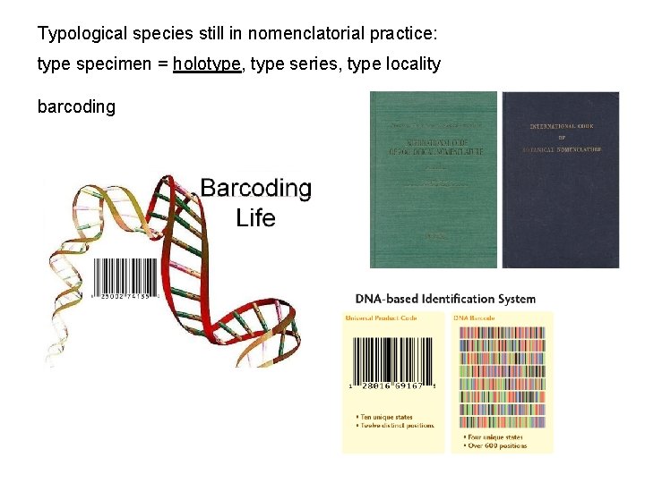 Typological species still in nomenclatorial practice: type specimen = holotype, type series, type locality