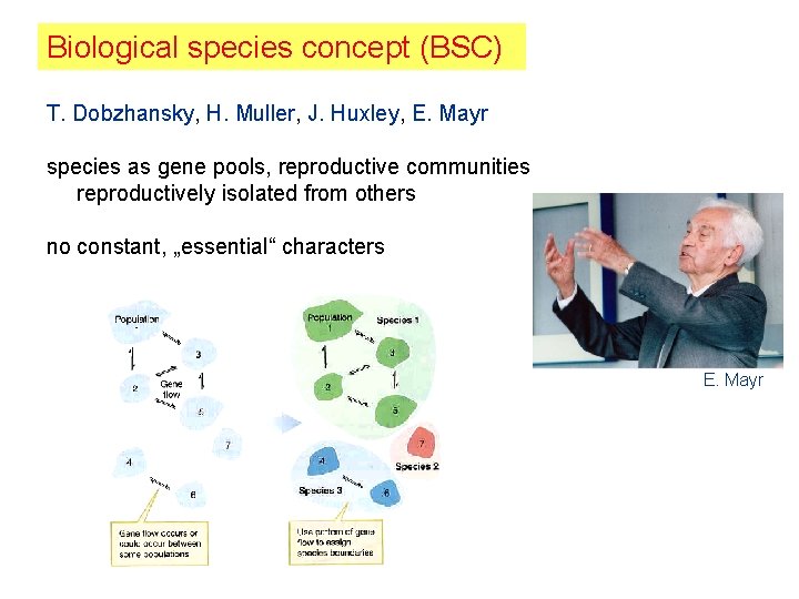 Biological species concept (BSC) T. Dobzhansky, H. Muller, J. Huxley, E. Mayr species as