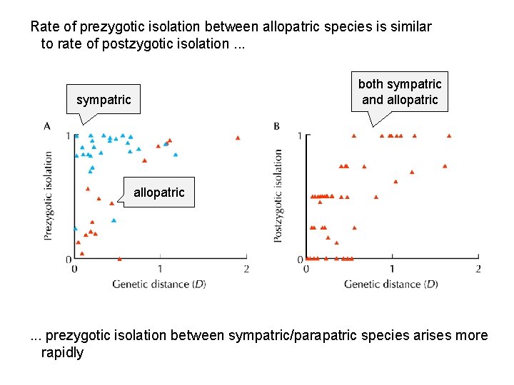 Rate of prezygotic isolation between allopatric species is similar to rate of postzygotic isolation.