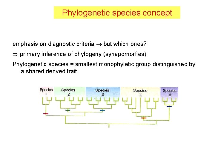 Phylogenetic species concept emphasis on diagnostic criteria but which ones? primary inference of phylogeny