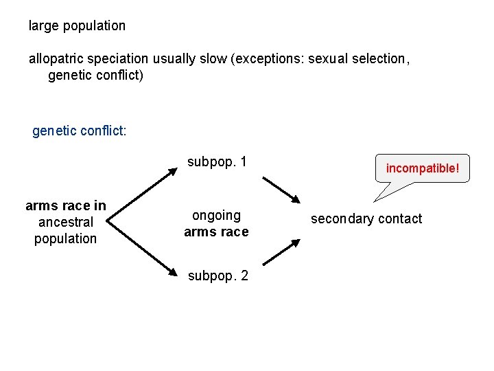 large population allopatric speciation usually slow (exceptions: sexual selection, genetic conflict) genetic conflict: subpop.