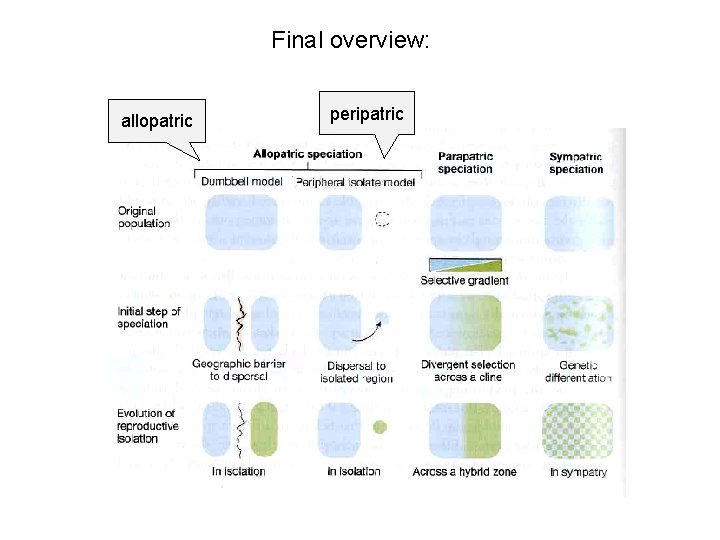 Final overview: allopatric peripatric 