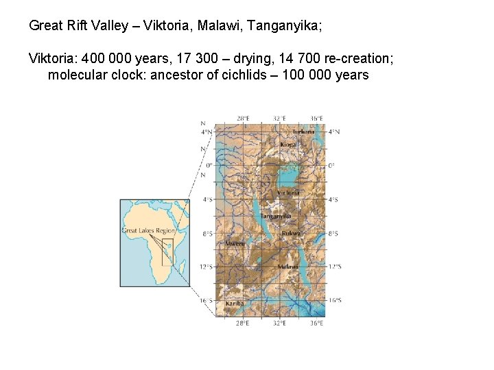 Great Rift Valley – Viktoria, Malawi, Tanganyika; Viktoria: 400 000 years, 17 300 –