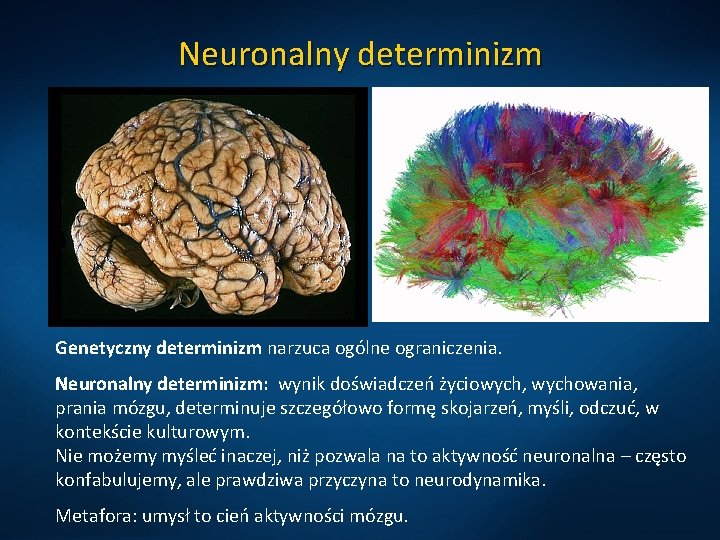 Neuronalny determinizm Genetyczny determinizm narzuca ogólne ograniczenia. Neuronalny determinizm: wynik doświadczeń życiowych, wychowania, prania