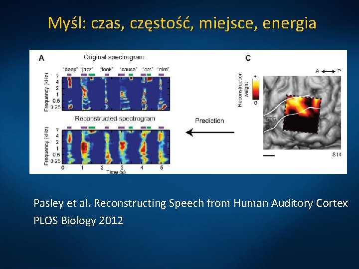 Myśl: czas, częstość, miejsce, energia Pasley et al. Reconstructing Speech from Human Auditory Cortex