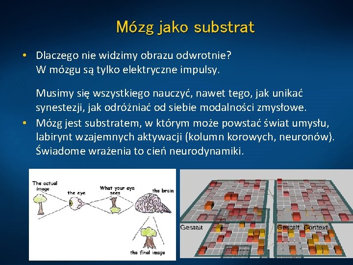 Mózg jako substrat • Dlaczego nie widzimy obrazu odwrotnie? W mózgu są tylko elektryczne