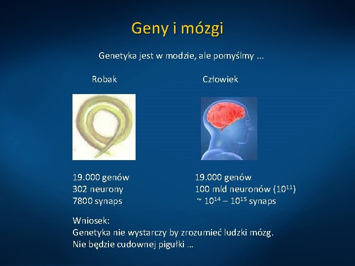 Geny i mózgi Genetyka jest w modzie, ale pomyślmy. . . Robak 19. 000