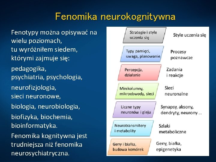 Fenomika neurokognitywna Fenotypy można opisywać na wielu poziomach, tu wyróżniłem siedem, którymi zajmuje się: