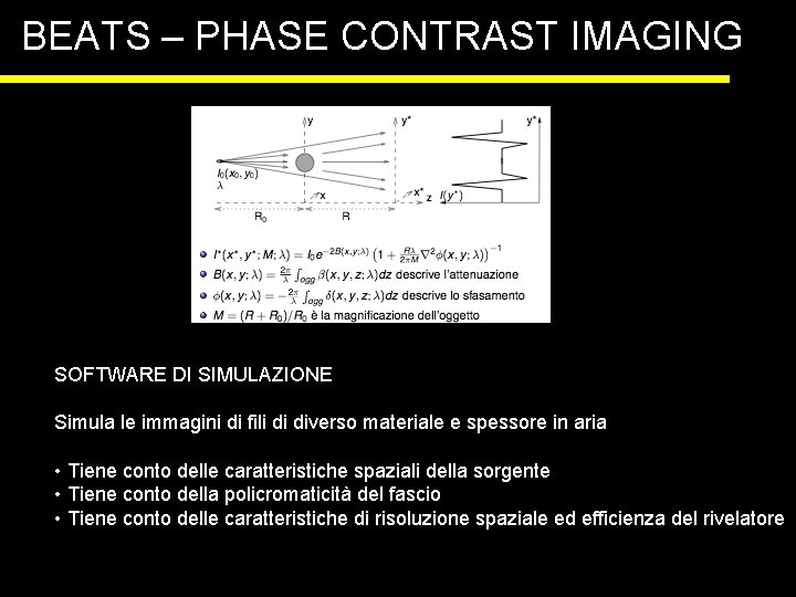 BEATS – PHASE CONTRAST IMAGING SOFTWARE DI SIMULAZIONE Simula le immagini di fili di