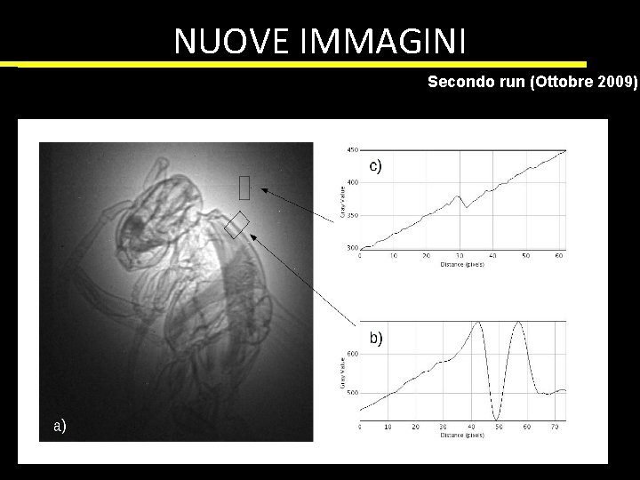 NUOVE IMMAGINI Secondo run (Ottobre 2009) 