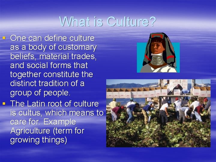 What is Culture? § One can define culture as a body of customary beliefs,