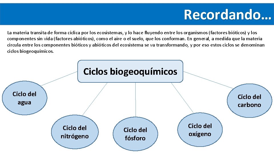 Recordando… La materia transita de forma cíclica por los ecosistemas, y lo hace fluyendo Recordando… La materia transita de forma cíclica por los ecosistemas, y lo hace fluyendo