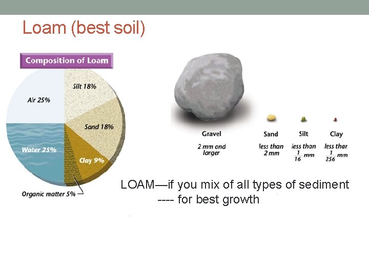 Loam (best soil) LOAM—if you mix of all types of sediment ---- for best