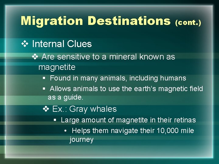 Migration Destinations (cont. ) v Internal Clues v Are sensitive to a mineral known