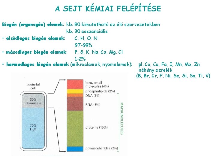 A SEJT KÉMIAI FELÉPÍTÉSE Biogén (organogén) elemek: kb. 80 kimutatható az élő szervezetekben kb.