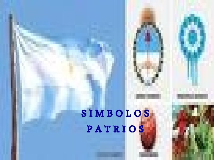SIMBOLOS PATRIOS 