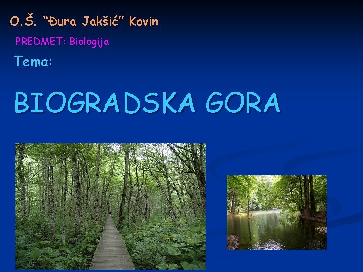 O. Š. “Đura Jakšić” Kovin PREDMET: Biologija Tema: BIOGRADSKA GORA 