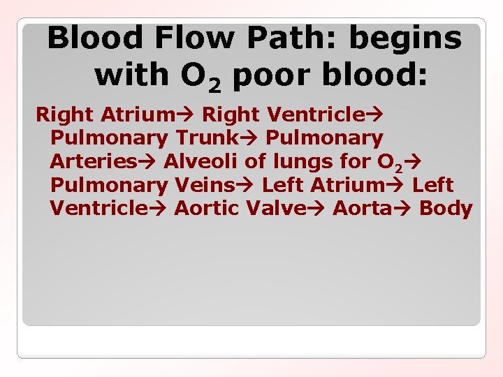 Blood Flow Path: begins with O 2 poor blood: Right Atrium Right Ventricle Pulmonary