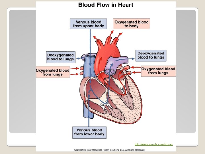 http: //www. google. com/imgres http: //www. google. com/imgres