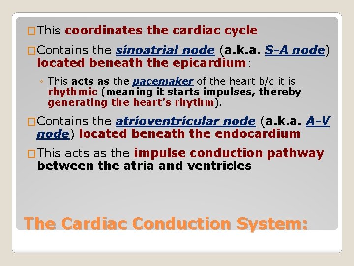 � This coordinates the cardiac cycle � Contains the sinoatrial node (a. k. a.