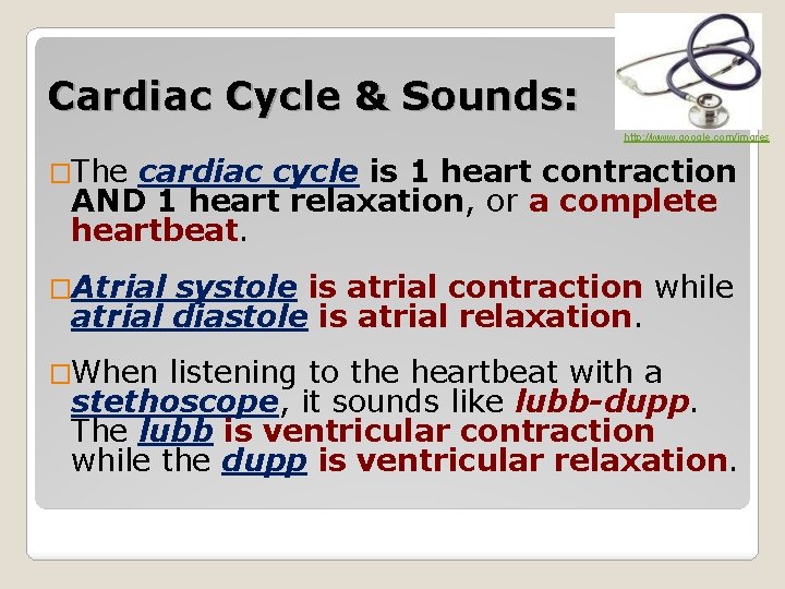 Cardiac Cycle & Sounds: http: //www. google. com/imgres �The cardiac cycle is 1 heart