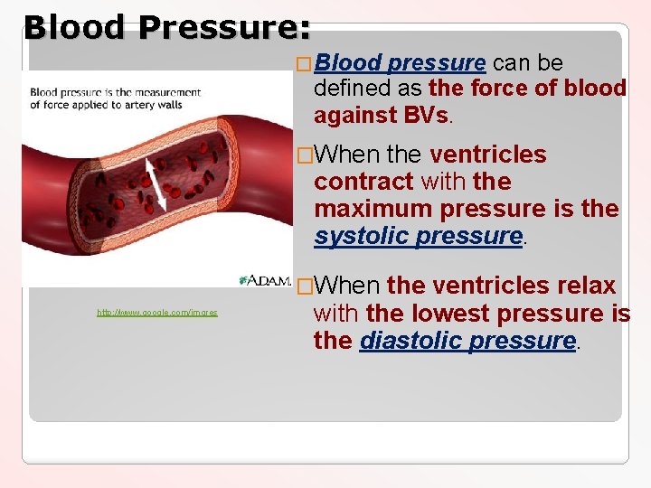 Blood Pressure: �Blood pressure can be defined as the force of blood against BVs.