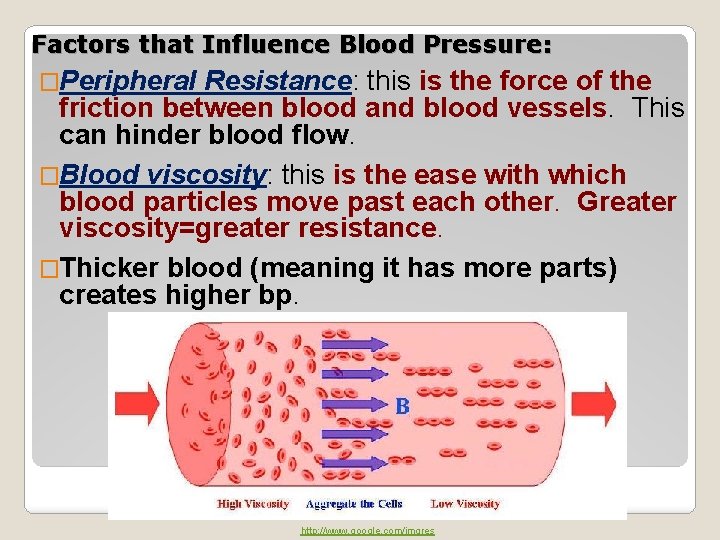 Factors that Influence Blood Pressure: �Peripheral Resistance: this is the force of the friction