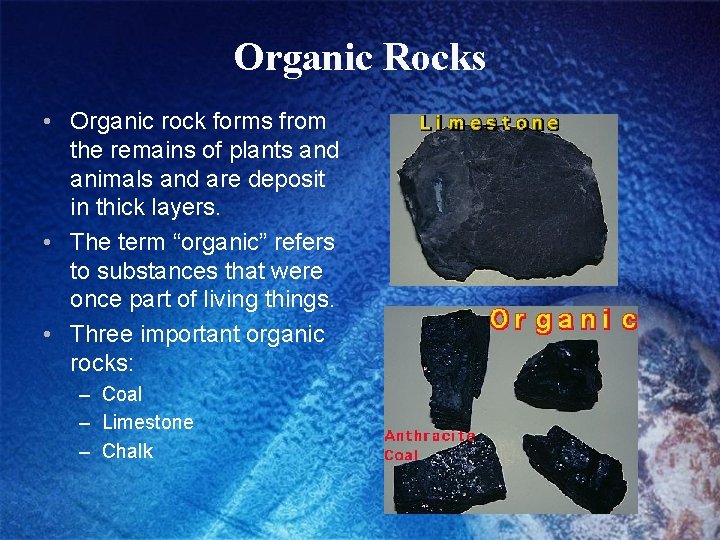 Organic Rocks • Organic rock forms from the remains of plants and animals and