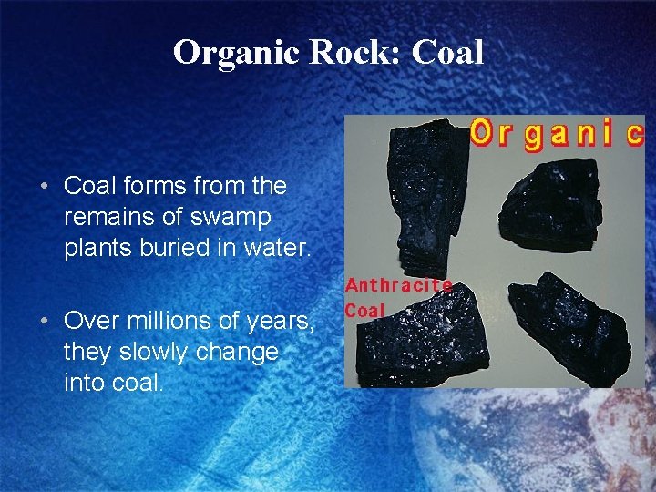 Organic Rock: Coal • Coal forms from the remains of swamp plants buried in