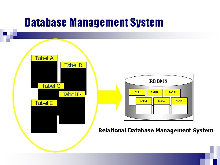 Database Management System Tabel A Tabel B Tabel C Tabel D Tabel E Relational
