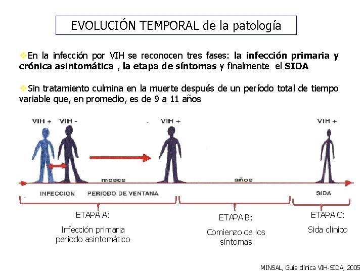 EVOLUCIÓN TEMPORAL de la patología v. En la infección por VIH se reconocen tres