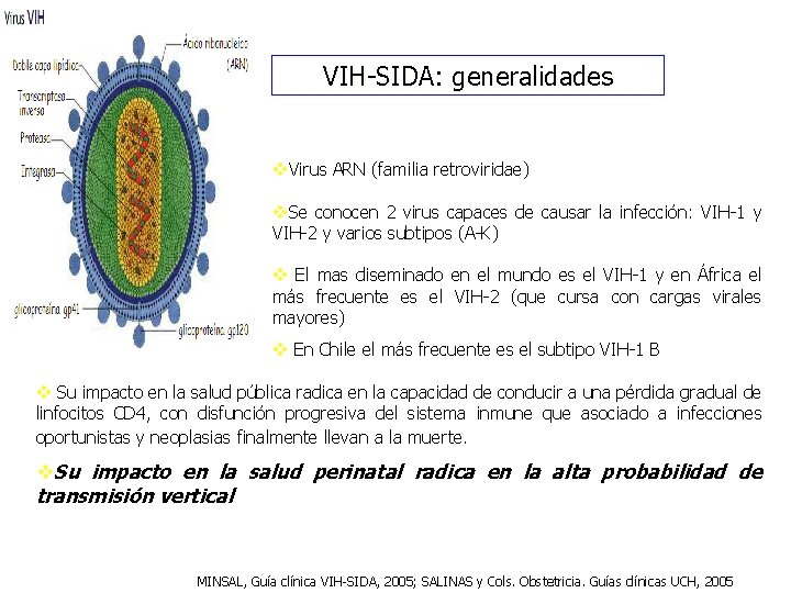 VIH-SIDA: generalidades v. Virus ARN (familia retroviridae) v. Se conocen 2 virus capaces de