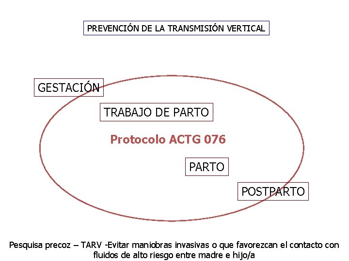 PREVENCIÓN DE LA TRANSMISIÓN VERTICAL GESTACIÓN TRABAJO DE PARTO Protocolo ACTG 076 PARTO POSTPARTO