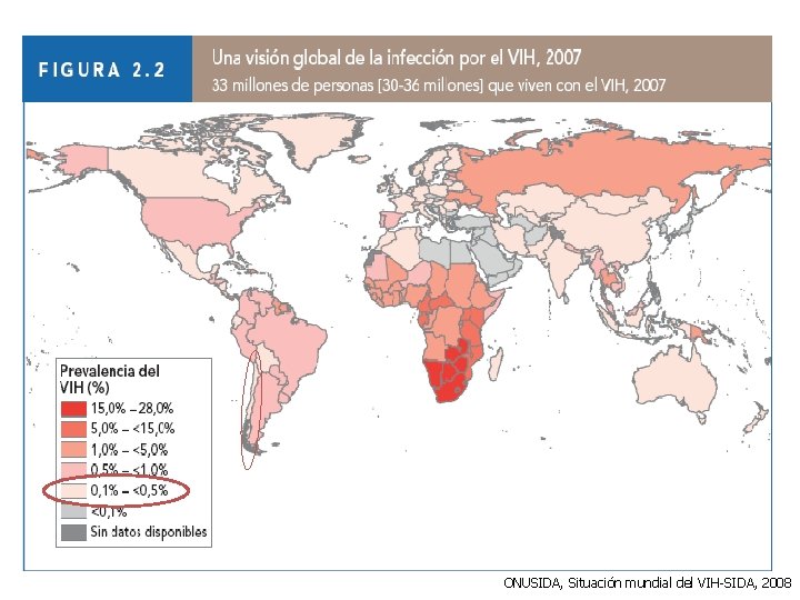 ONUSIDA, Situación mundial del VIH-SIDA, 2008 