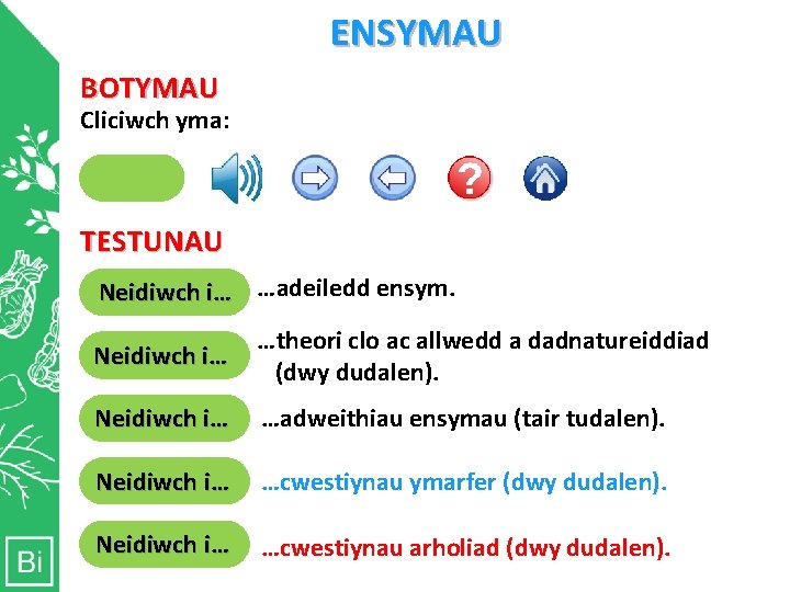 ENSYMAU BOTYMAU Cliciwch yma: Bydd Cliciwch Bydd clicio Cliciwch clicio yma yma yn er