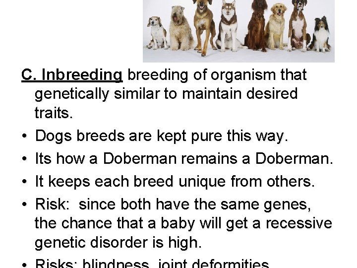 C. Inbreeding of organism that genetically similar to maintain desired traits. • Dogs breeds
