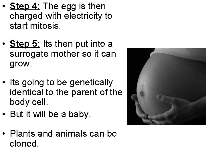  • Step 4: The egg is then charged with electricity to start mitosis.