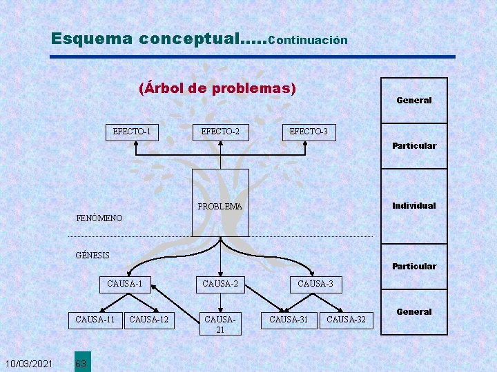 Esquema conceptual. . . Continuación (Árbol de problemas) EFECTO-1 EFECTO-2 General EFECTO-3 Particular Individual