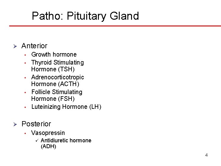 Patho: Pituitary Gland Ø Anterior • • • Ø Growth hormone Thyroid Stimulating Hormone