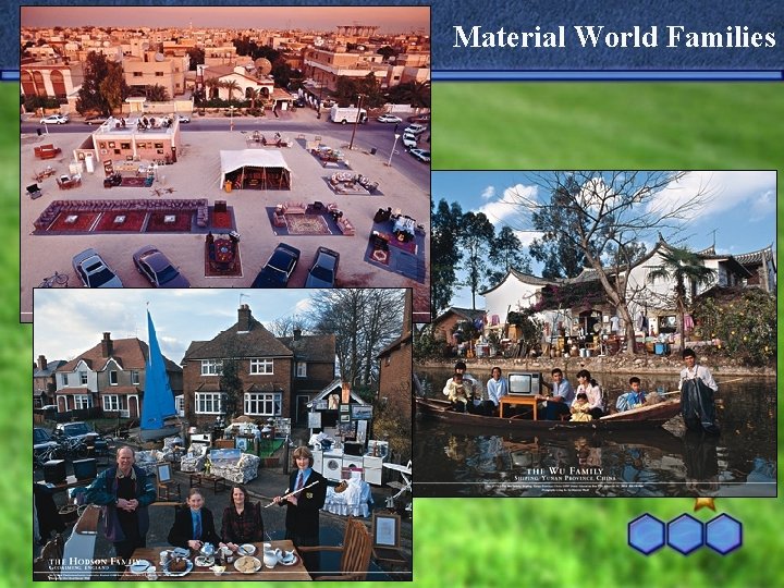 Material World Families 