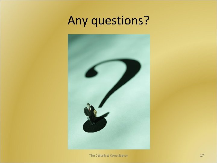 Any questions? The Cattellyst Consultancy 17 