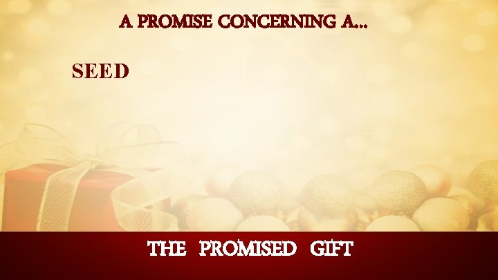 A PROMISE CONCERNING A… SEED THE PROMISED GIFT 