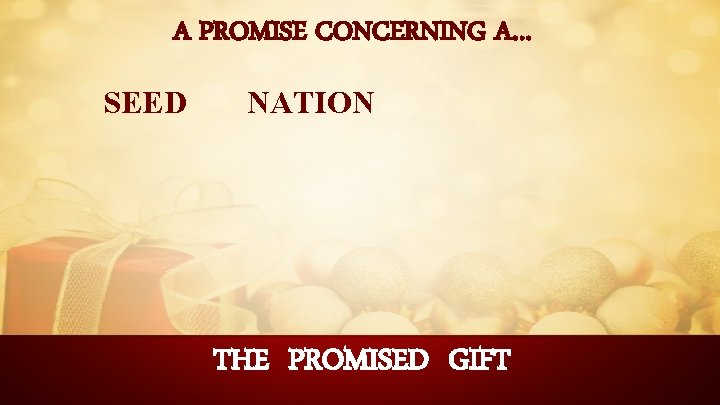 A PROMISE CONCERNING A… SEED NATION THE PROMISED GIFT 