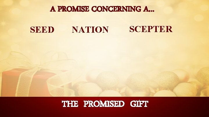 A PROMISE CONCERNING A… SEED NATION SCEPTER THE PROMISED GIFT 